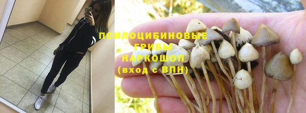 марихуана Абаза