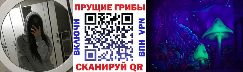 магазин    Кирс  Галлюциногенные грибы Psilocybe 